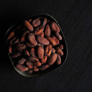 Dried Unroasted Cocoa Beans